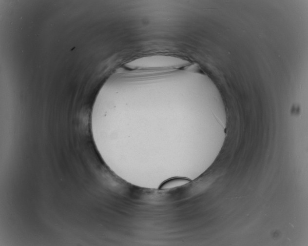 X0000101690288200808071142