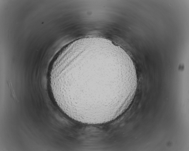 X0000101690290200808071141