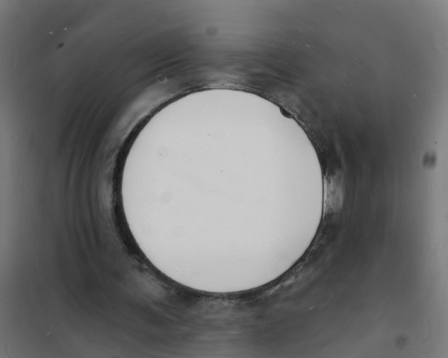 X0000101690291200808071141