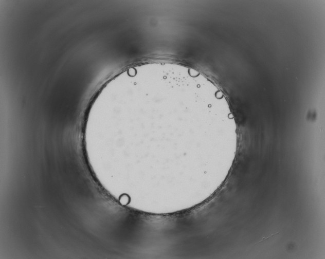 X0000101690293200808071141