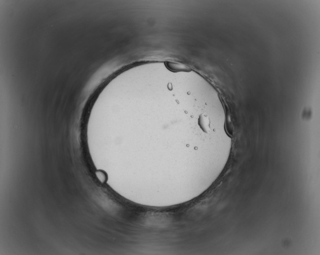 X0000101690296200808071141