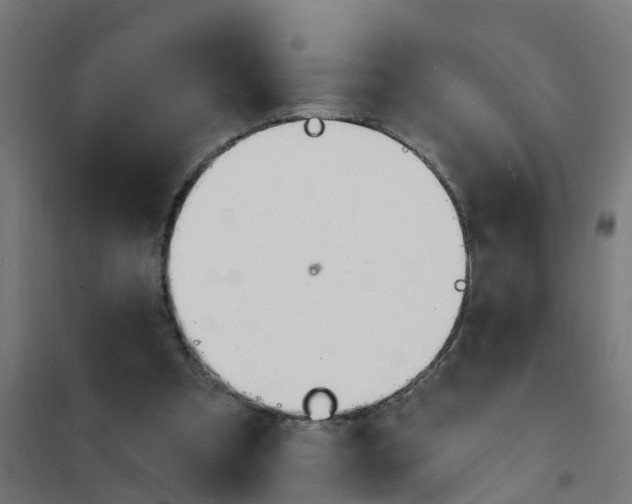 X0000101690297200808071141