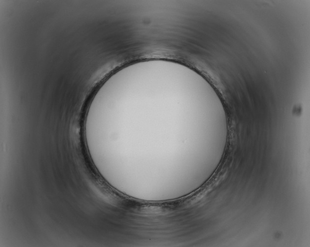 X0000101690298200808071141