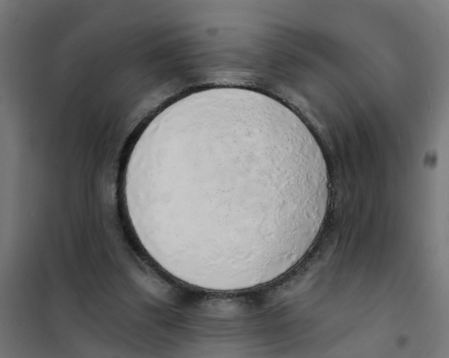 X0000101690299200808071141