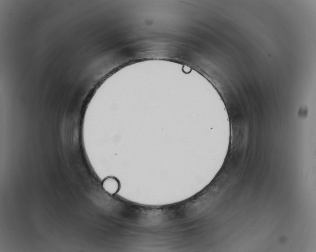 X0000101690301200808071141