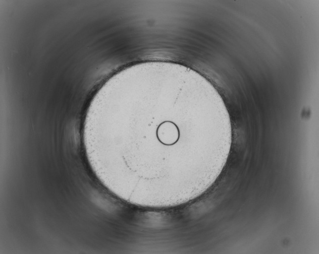 X0000101690302200808071141