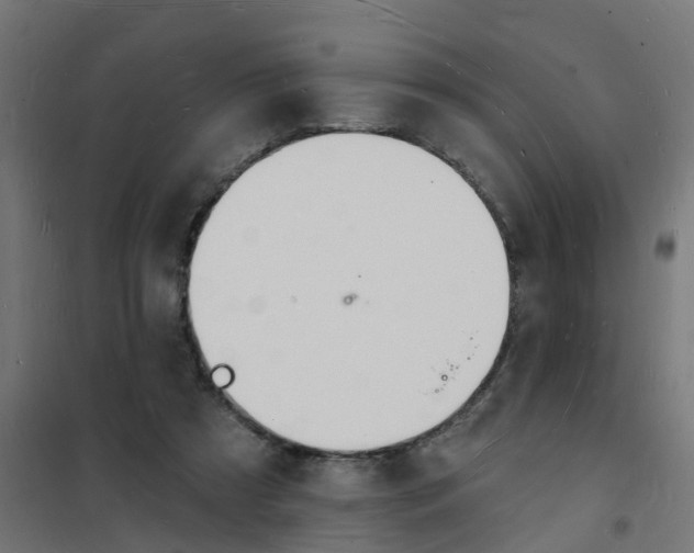 X0000101690305200808071141