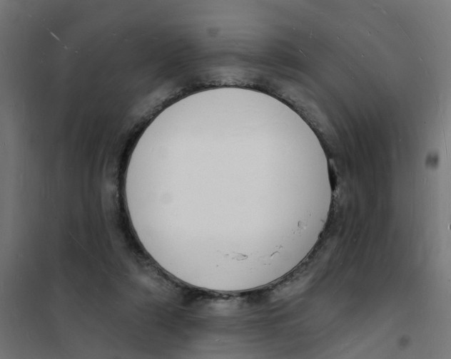 X0000101690306200808071141