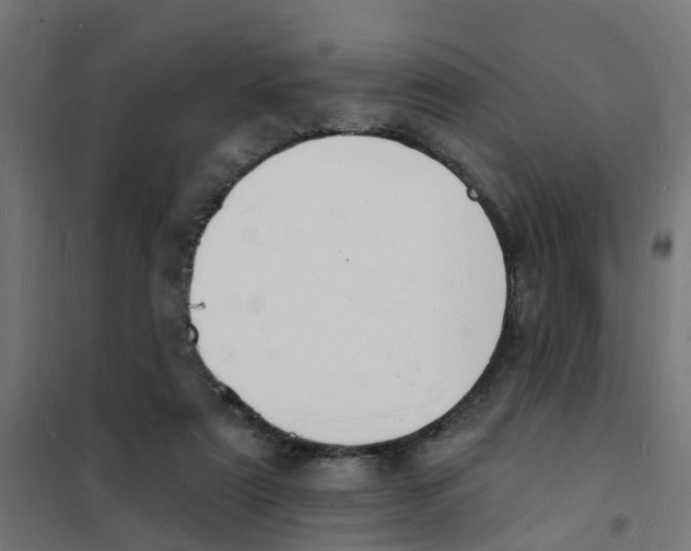 X0000101690307200808071141