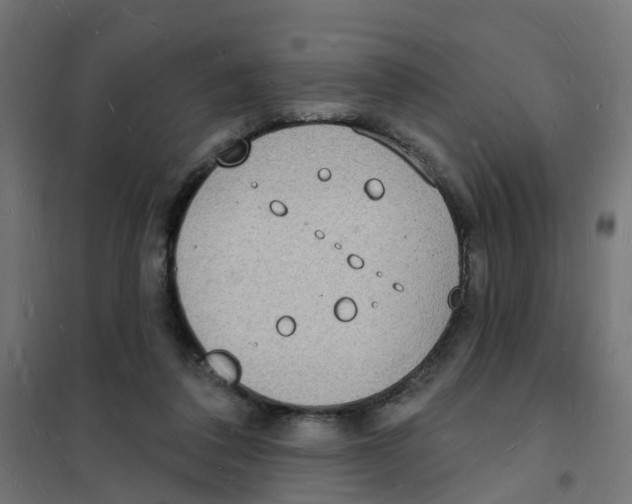 X0000101690308200808071141