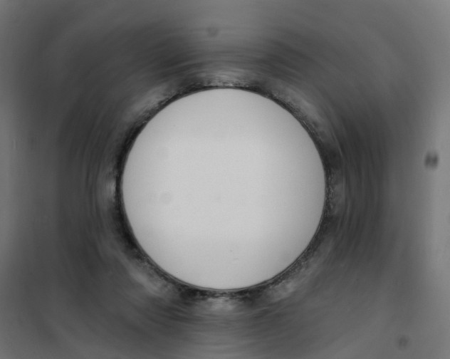 X0000101690310200808071141