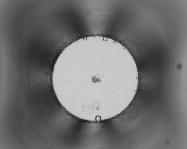 X0000101690313200808071141