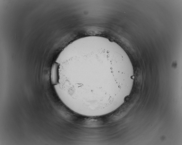 X0000101690315200808071141