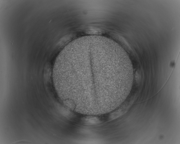 X0000101690322200808071141