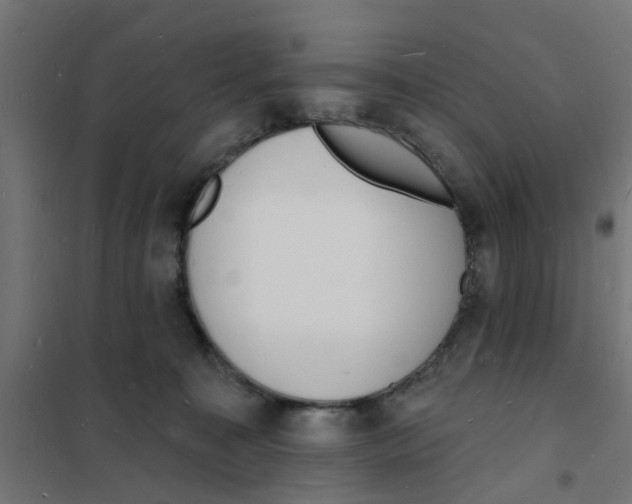 X0000101690323200808071141