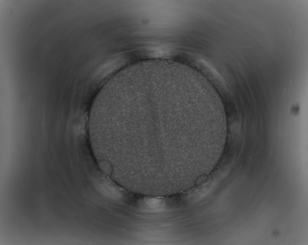 X0000101690325200808071141