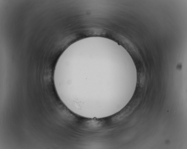 X0000101690326200808071141