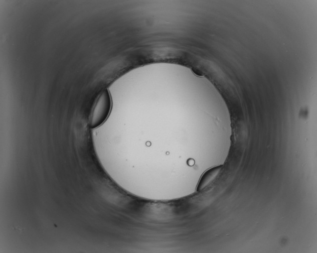 X0000101690327200808071141