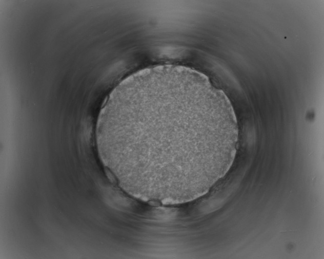 X0000101690328200808071141