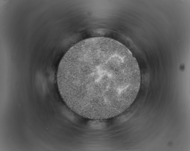 X0000101690331200808071141