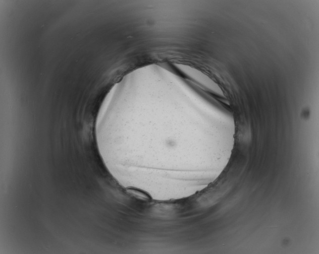 X0000101690332200808071140