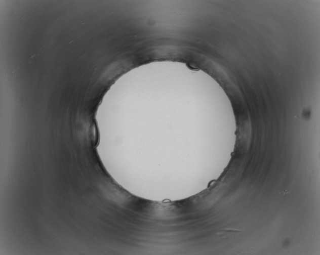 X0000101690333200808071140