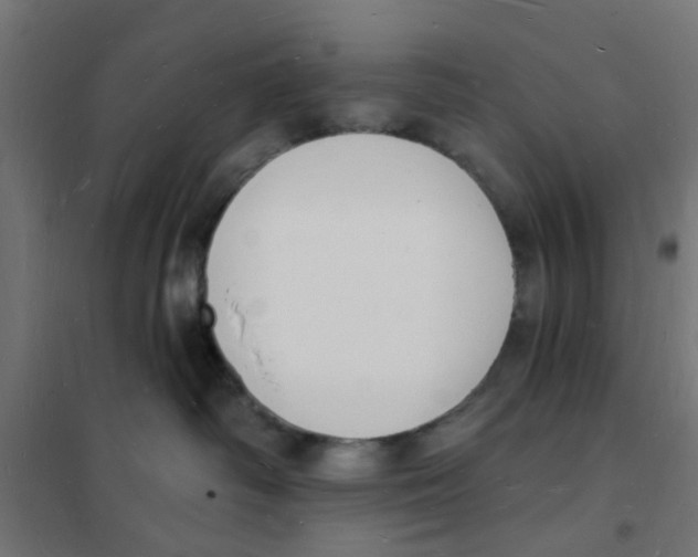 X0000101690334200808071140