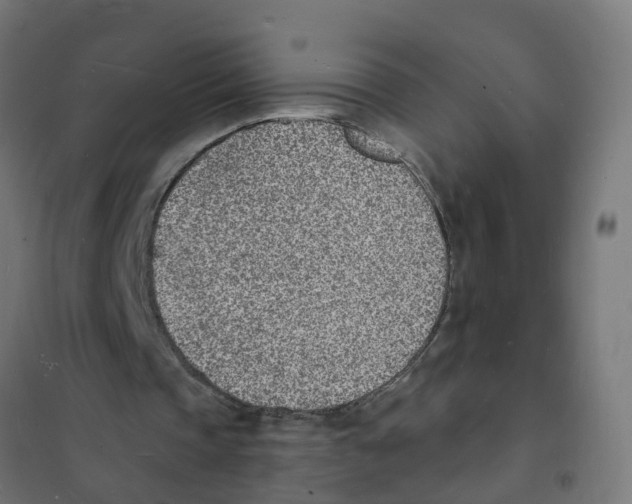 X0000101690337200808071140