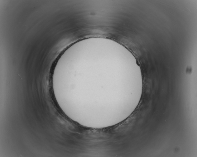 X0000101690338200808071140