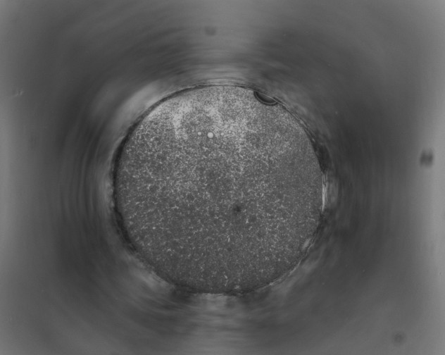 X0000101690339200808071140