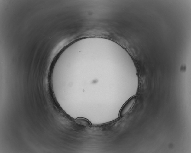 X0000101690340200808071140