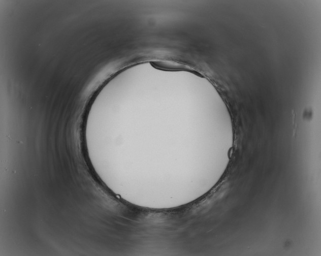 X0000101690341200808071140