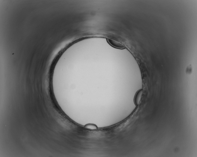 X0000101690342200808071140