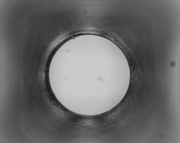 X0000101690344200808071140