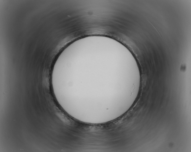 X0000101690345200808071140