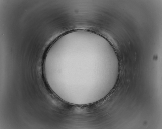 X0000101690346200808071140