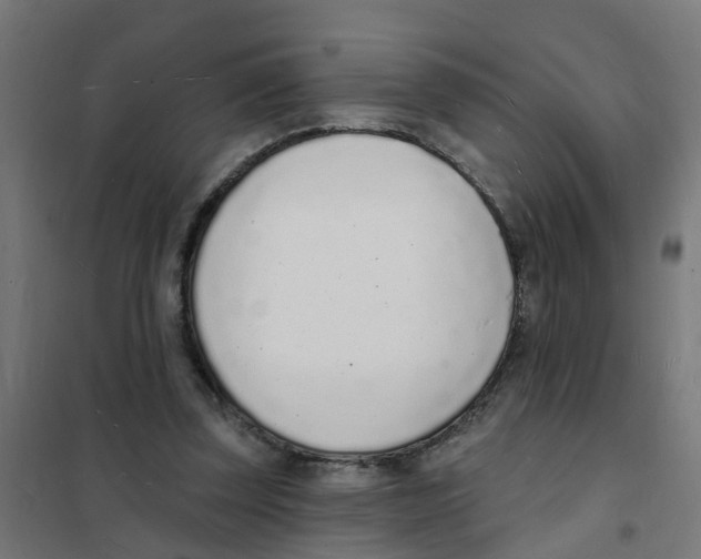 X0000101690347200808071140