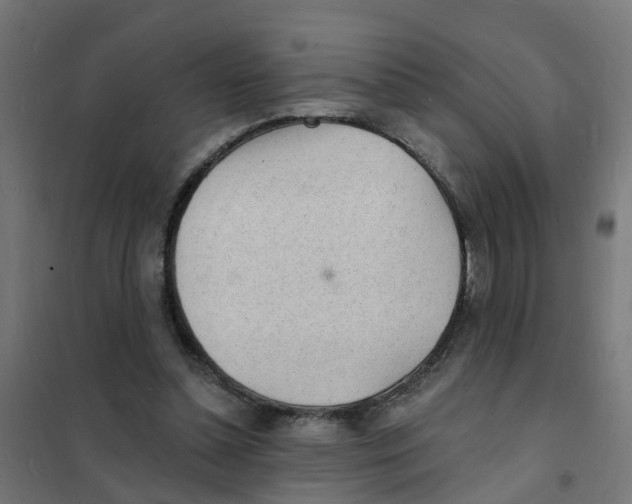 X0000101690348200808071140