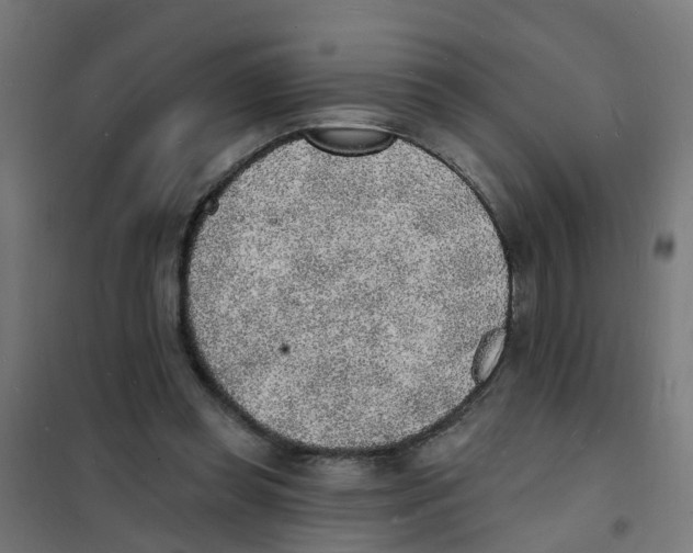 X0000101690349200808071140