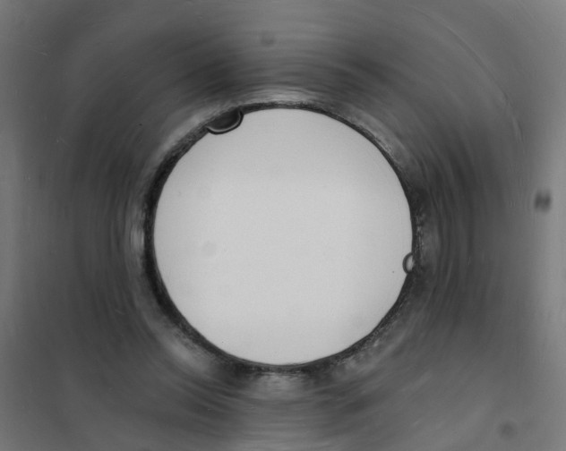 X0000101690350200808071140