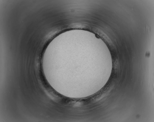 X0000101690352200808071140