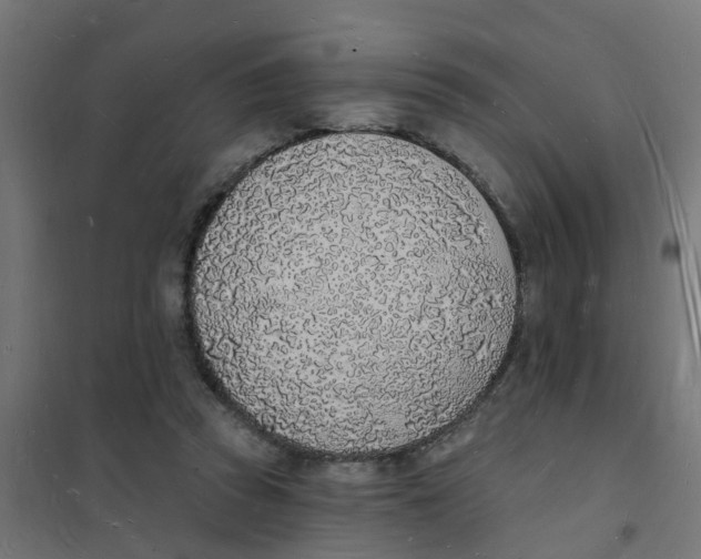 X0000101690353200808071140