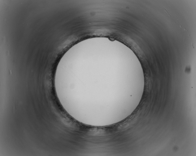 X0000101690354200808071140