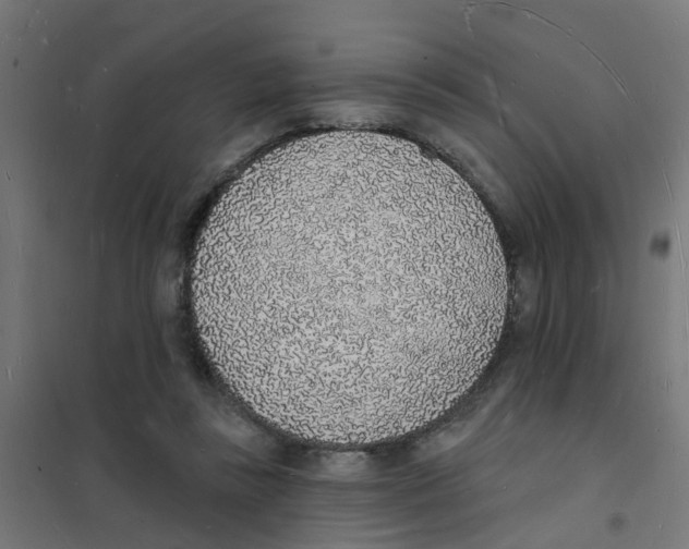 X0000101690355200808071140