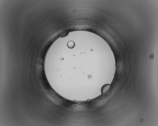 X0000101690356200808071140