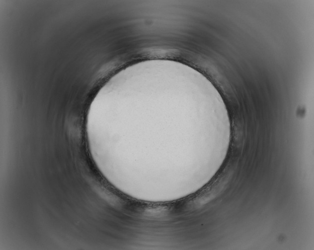 X0000101690357200808071140