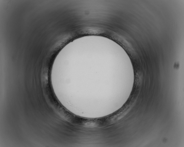 X0000101690358200808071140