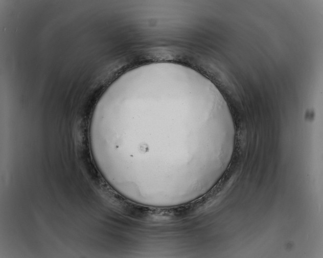 X0000101690359200808071140