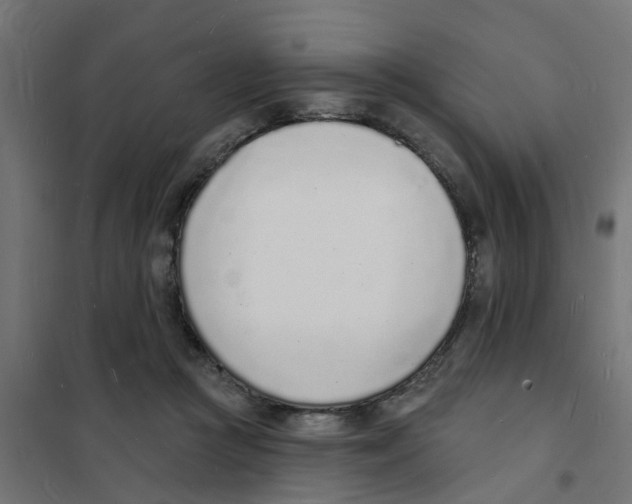 X0000101690361200808071140