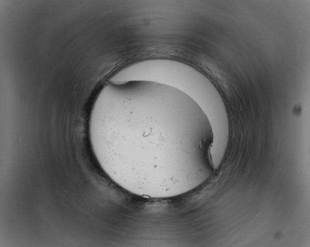 X0000101690362200808071140